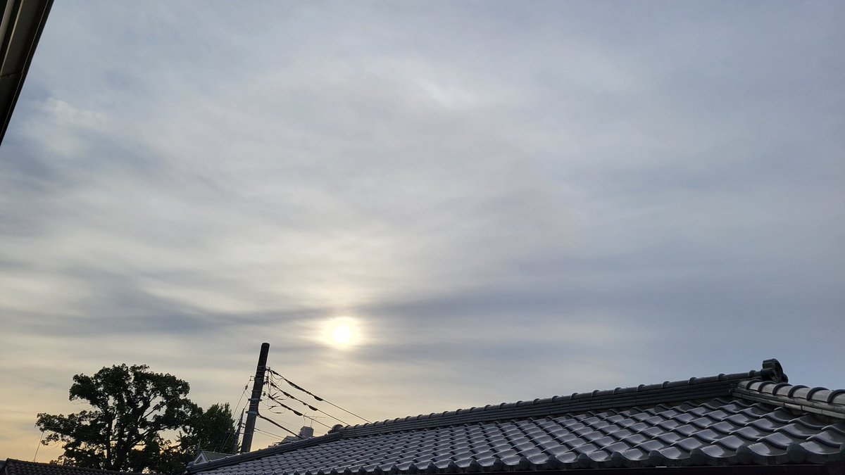 めるめるめー (@melmelmelme3) / Posts / X