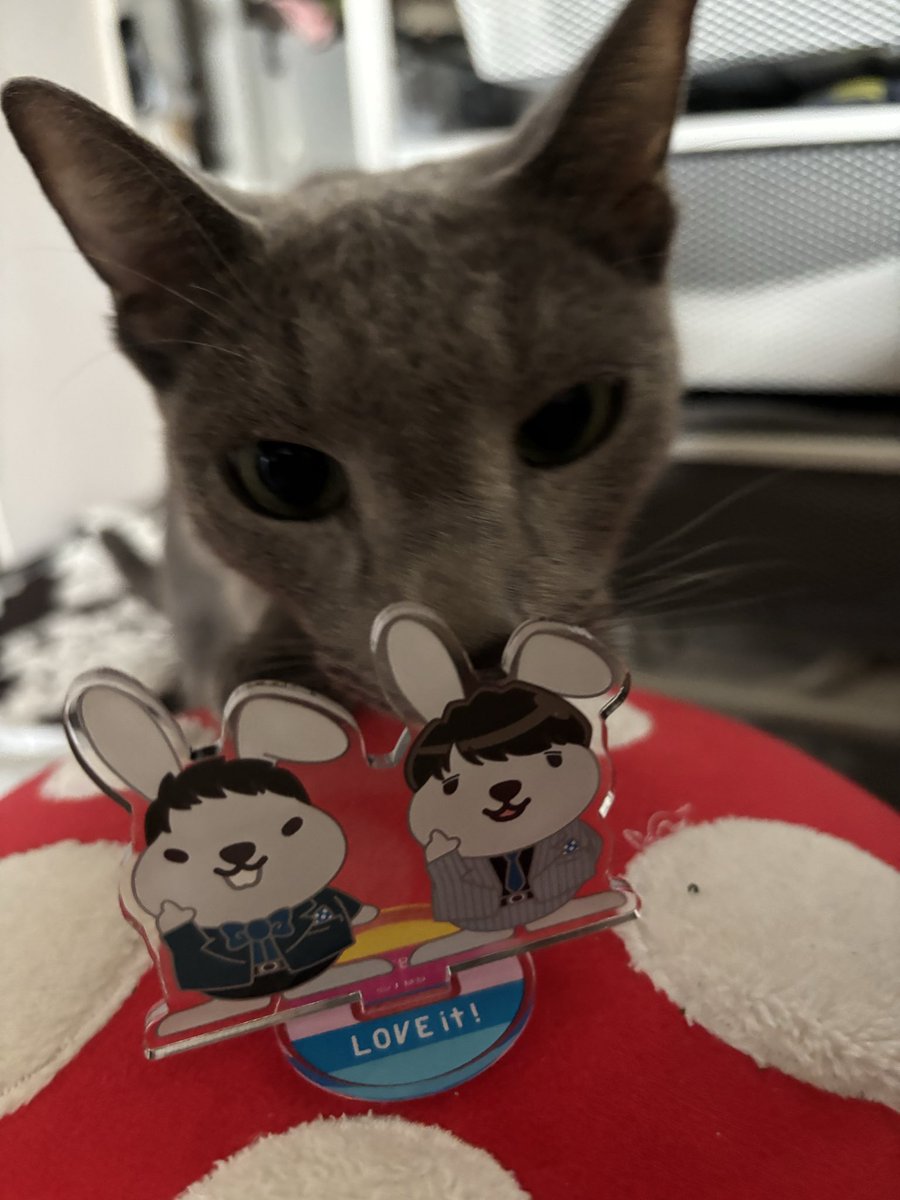 銀次郎 (@ginjirow_0929) / Posts / X