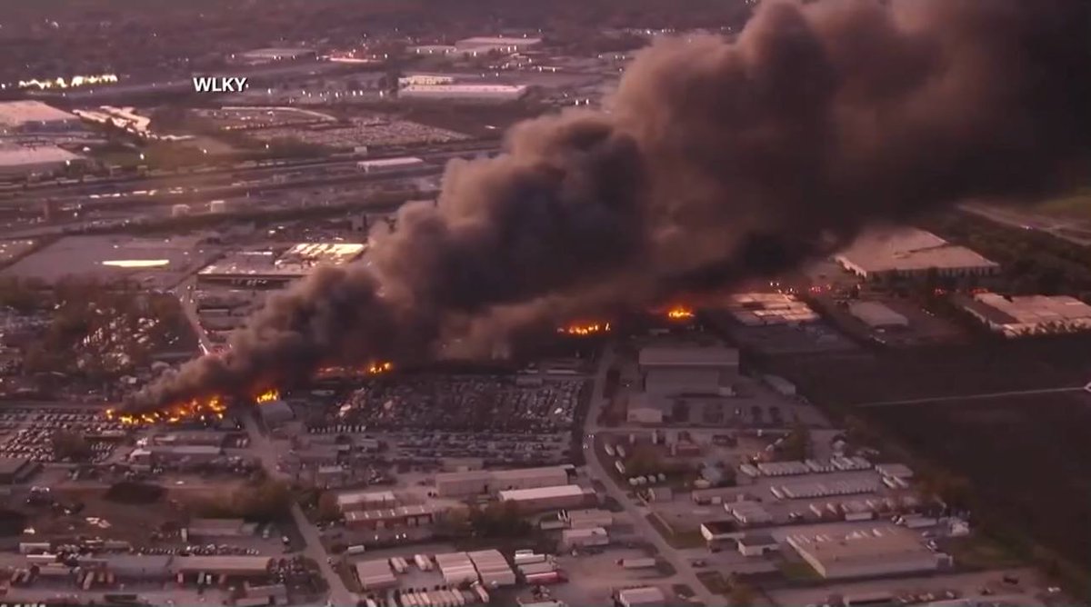 Charles, the Flying Snep tweet media