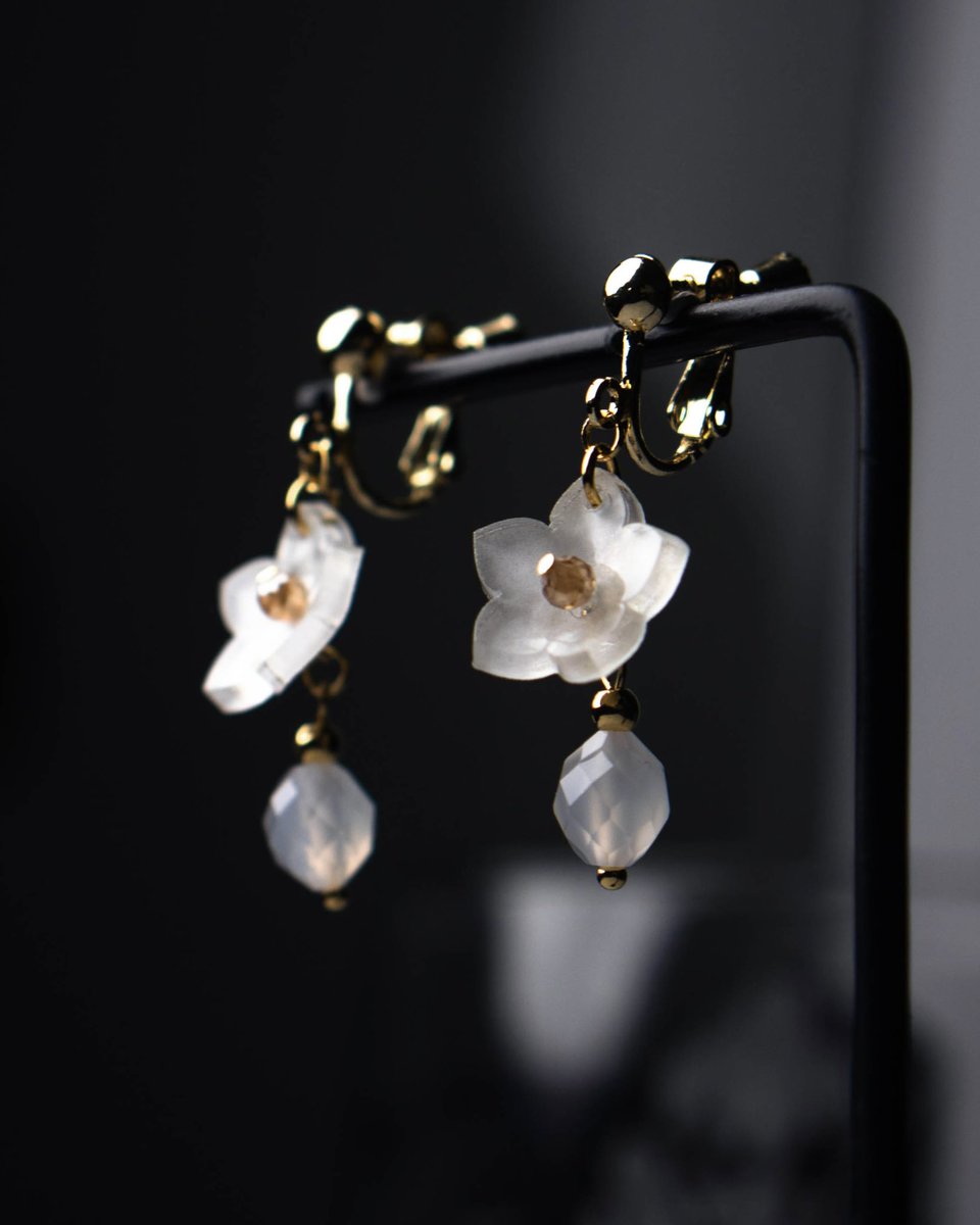 美しい白い花をどうぞ