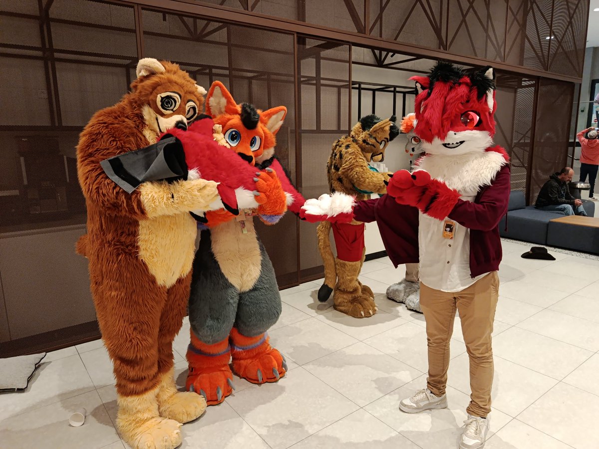 Sharkingos tweet media