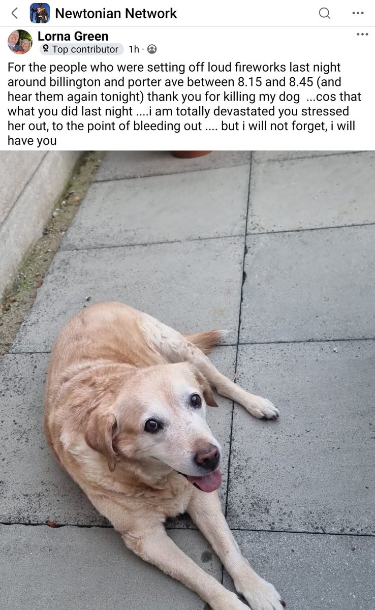 SpringerSaint's tweet image. Fireworks have got too loud and when it leads to animals losing their lives then they need to be regulated and restricted. 😞
We were happy with a Catherine wheel, rocket and fountain when I was a kid - and the Catherine wheel usually fell off the fence