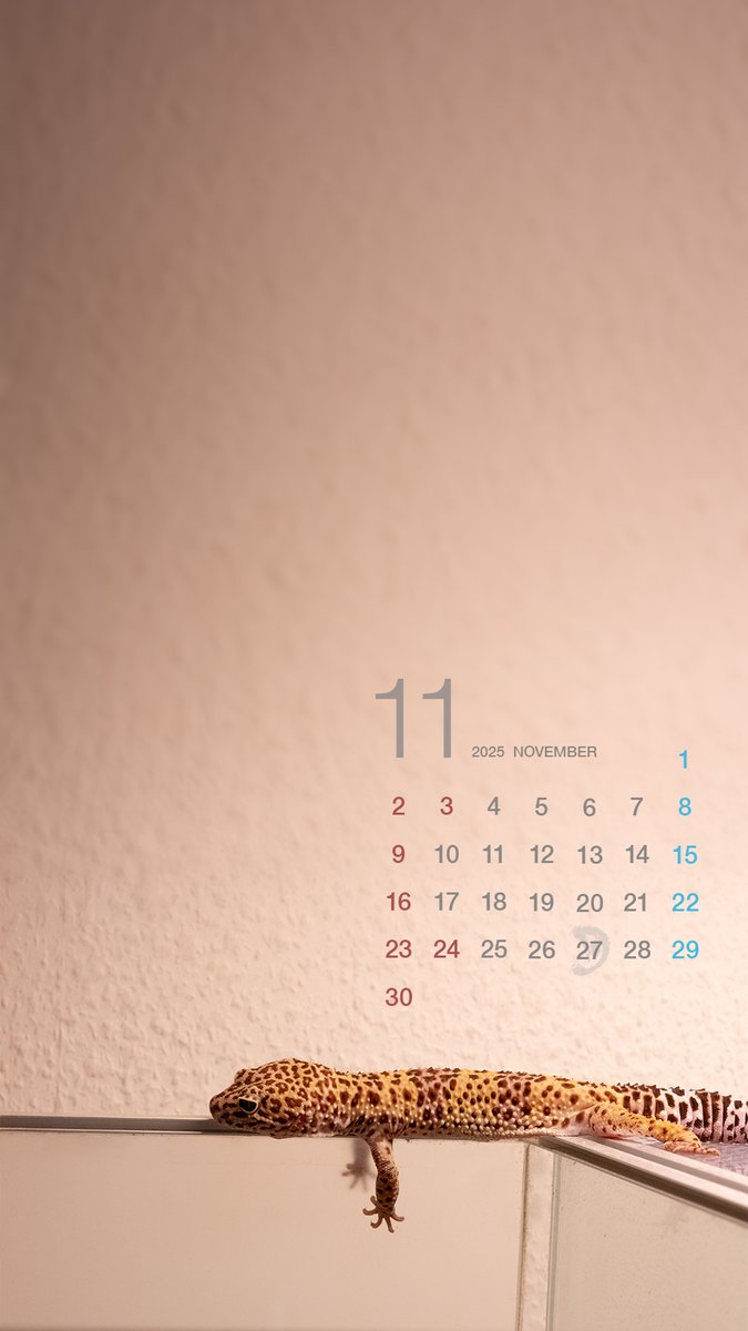 月光堂【 爬虫類シェルター制作所】 (@tsukinohikari32) / Posts / X