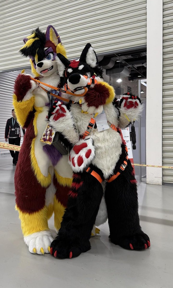 Has everyone seen my dog?
If you haven’t yet, let me show you now.

📸:my dog's friend took it but i dont know his name qwq