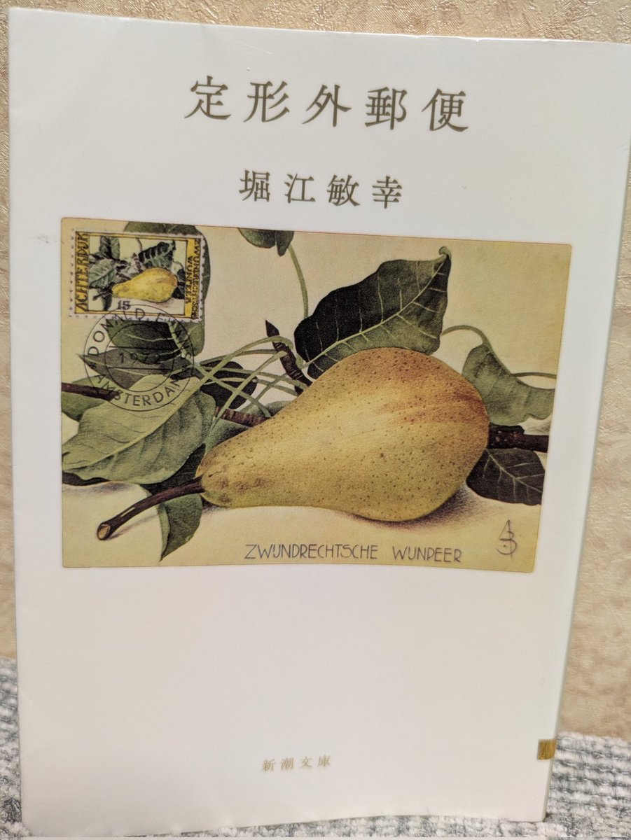 ポンポコ (@79bSaqg56enN3XJ) / Posts / X