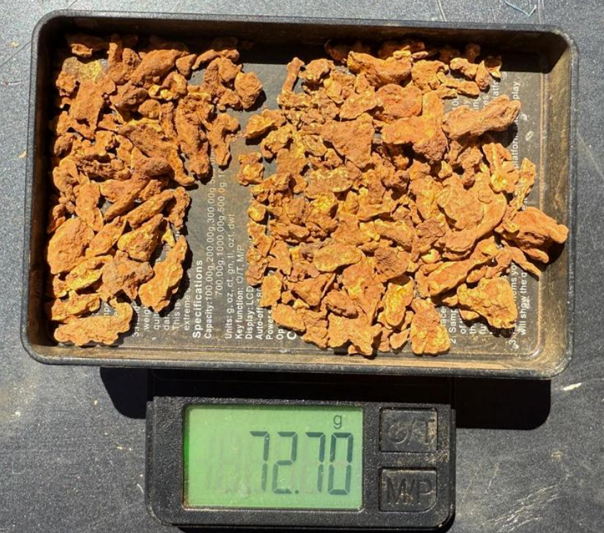 gateway_mining's tweet image. A further 328 #gold nuggets weighing a total of 72.7 grams have been collected from new areas within the untested Great Western splay corridor, within Gateway&apos;s Yandal Gold Project in #WA.

Read the full ASX announcement here: ow.ly/REIK50XmRp5

$GML #exploration #discovery
