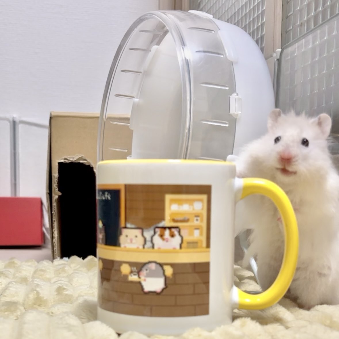 potato🐹ローデンツ🌟プリハム星👉11.22 (@oOpote_toOo) / Posts / X