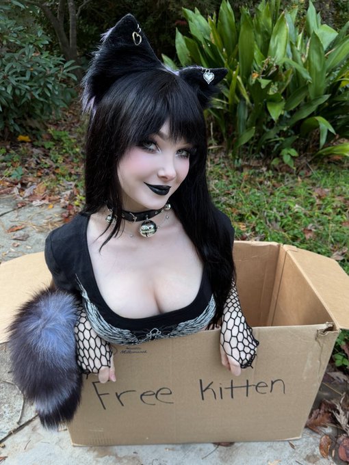 Meow :3 adopt me? https://t.co/4MwK4wEPd4<a href="/tag/anime"class="tags"><span>#anime</span></a><a href="/tag/cosplay"class="tags"><span>#cosplay</span></a><a href="/tag/chainsawman"class="tags"><span>#chainsawman</span></a><a href="/tag/makima"class="tags"><span>#makima</span></a><a href="/tag/cosplay"class="tags"><span>#cosplay</span></a>