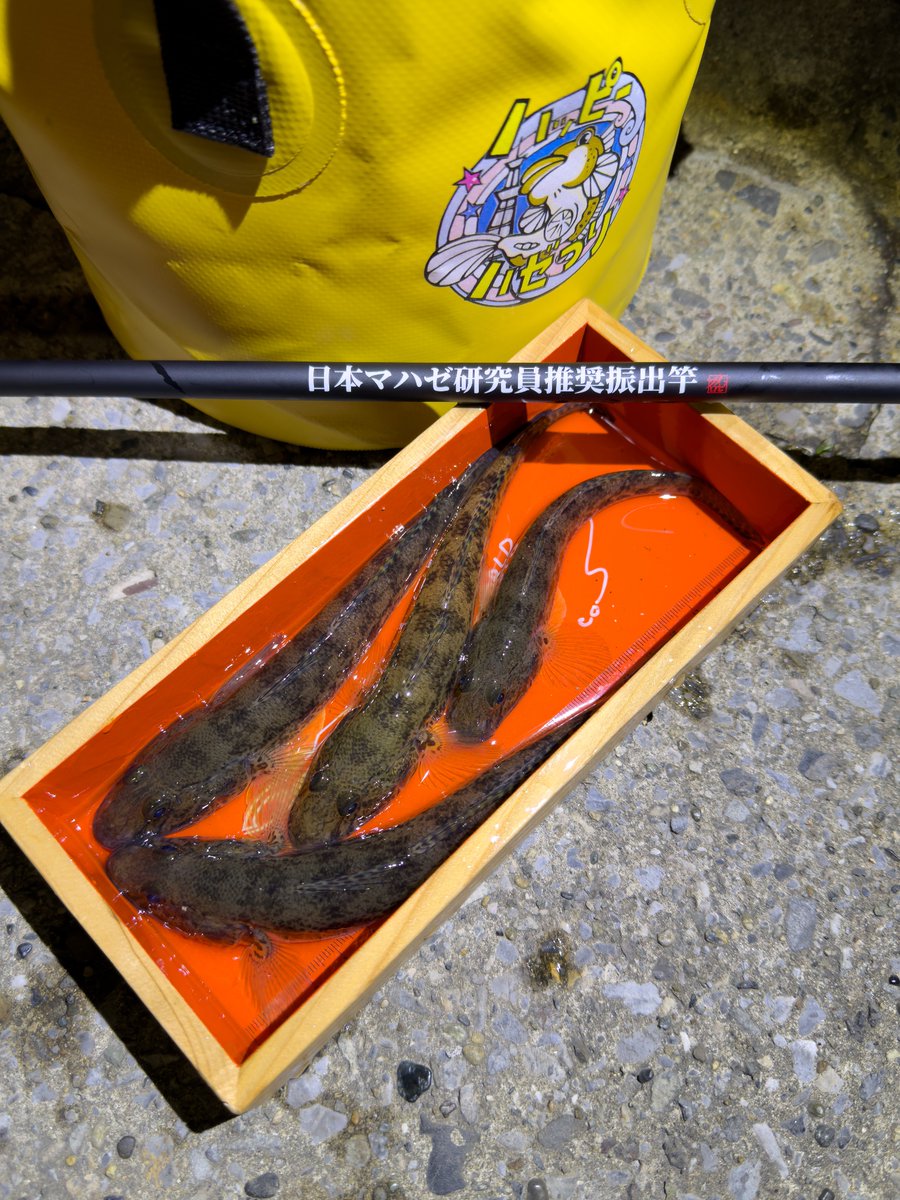 まるこ (@Nmaru507) / Posts / X