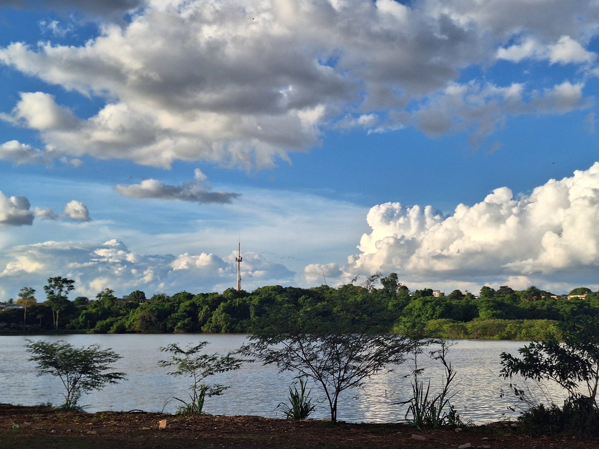 cutebug47's tweet image. 先週撮ったこの写真すごく気に入っています