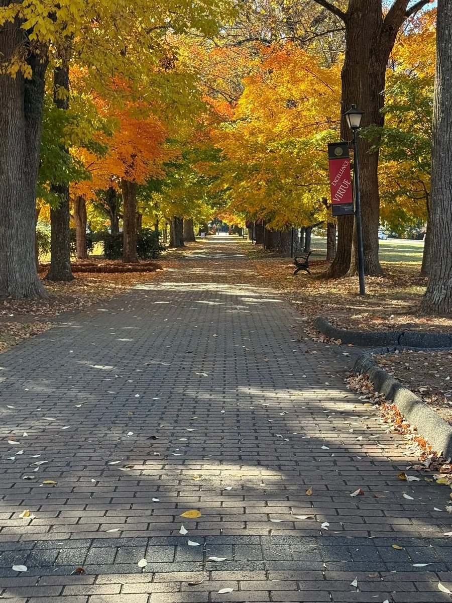 Ellyn Bowles tweet media