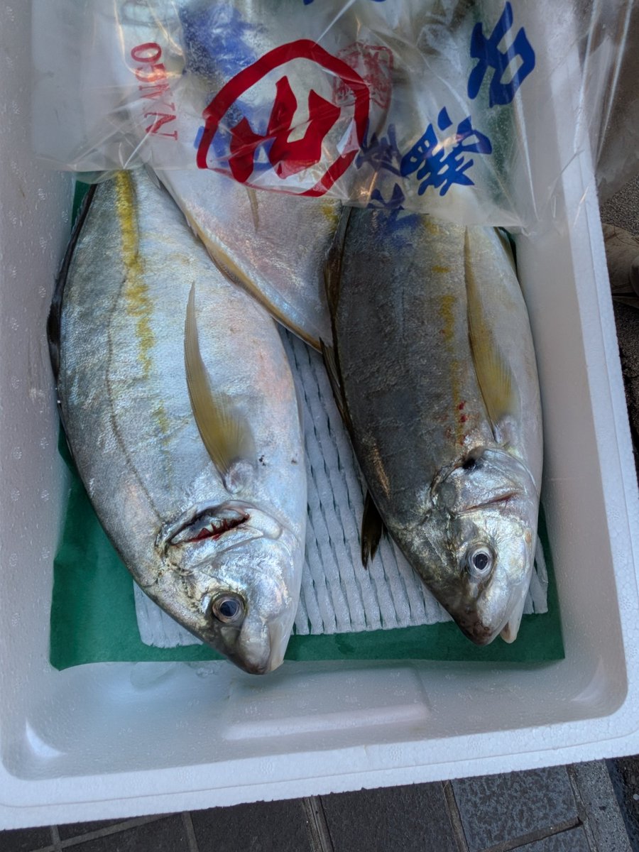 魚菜屋【天然鮮魚専門店】 on X