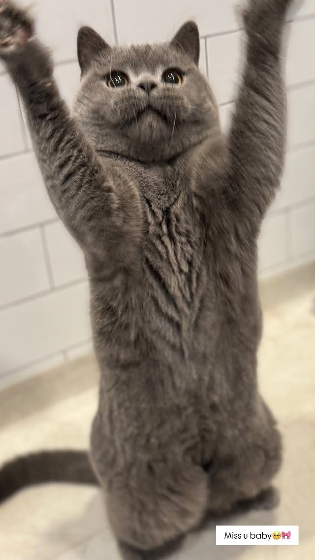 CHONKY BOY BBUYO UPDATE HE'S SO CUTE🥹🤏!!! (from Haeum)