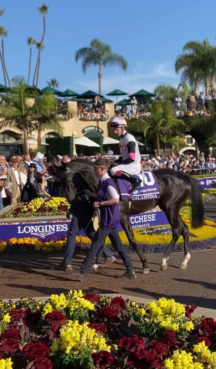 From observing in the background to standing front &amp; center. 

Donnacha O’Brien will remember <a href="/DelMarRacing/">Del Mar Racetrack</a> &amp; <a href="/BreedersCup/">Breeders' Cup</a> 2025 thanks to Balantina, <a href="/oismurphy/">Oisín Murphy</a> &amp; Bawnmore Racing Team. 

<a href="/DAOBRIENWIZZ/">Donnacha O'Brien</a> | <a href="/HRIRacing/">Horse Racing Ireland</a> | #GreenTeam | #Throwback