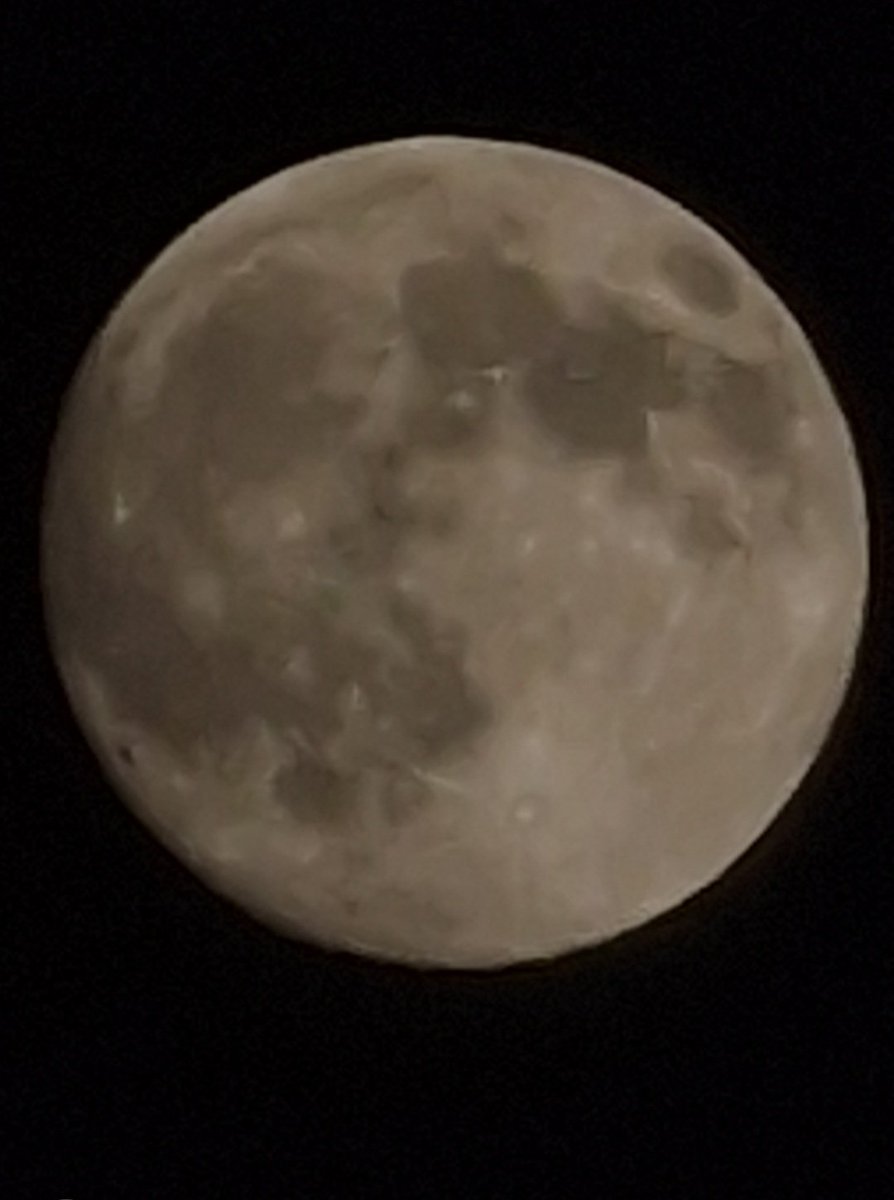 Rocas Architect tweet media