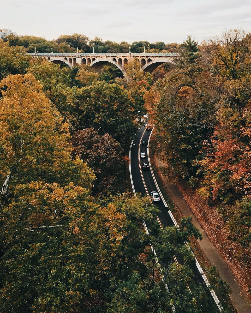 washingtondc's tweet image. DC looks good in fall colors. 🍎🐿️🍁🧡⭐️

📸: adam_brockett, mattschmalzel, drchubacca, saturdaysindc / IG #Only1DC