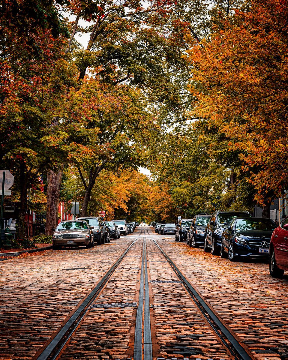 washingtondc's tweet image. DC looks good in fall colors. 🍎🐿️🍁🧡⭐️

📸: adam_brockett, mattschmalzel, drchubacca, saturdaysindc / IG #Only1DC