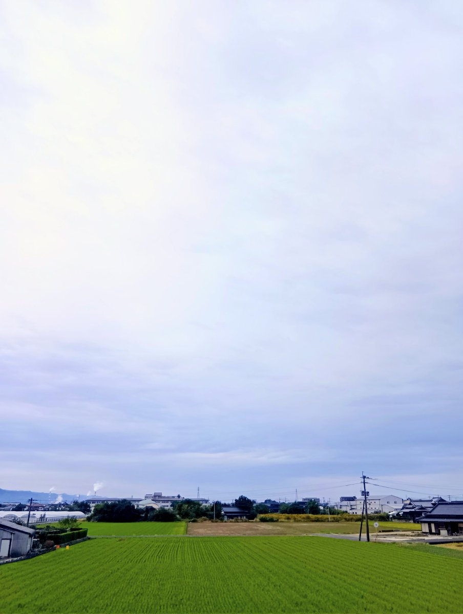 sankohouse's tweet photo. 11月5日（水）曇り☁
本日もよろしくお願いします！ https://t.co/7PPXtjPgn6