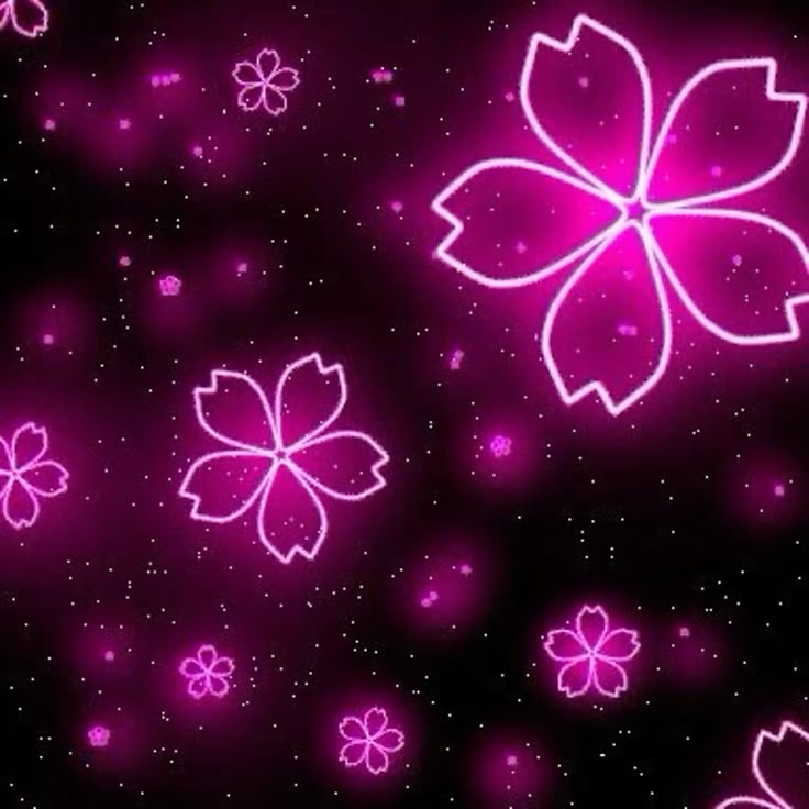 ✿𝐂𝐡𝐚𝐫𝐢𝐥𝐞 𝐌𝐨𝐫𝐧𝐢𝐧𝐠𝐬𝐭𝐚𝐫۶٩✿ tweet media