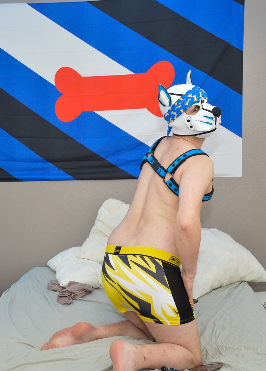PuppyNano's tweet photo. Freegun Day 🐾

#k9hood #puppyplay #gaypup #freegun #freegunlover #underwearlover #humanpup #puppyplaycommunity #humanpupcommunity #kiffeur #frenchkiffeur #frenchpuppy #puplay https://t.co/37iYlJbhHW
