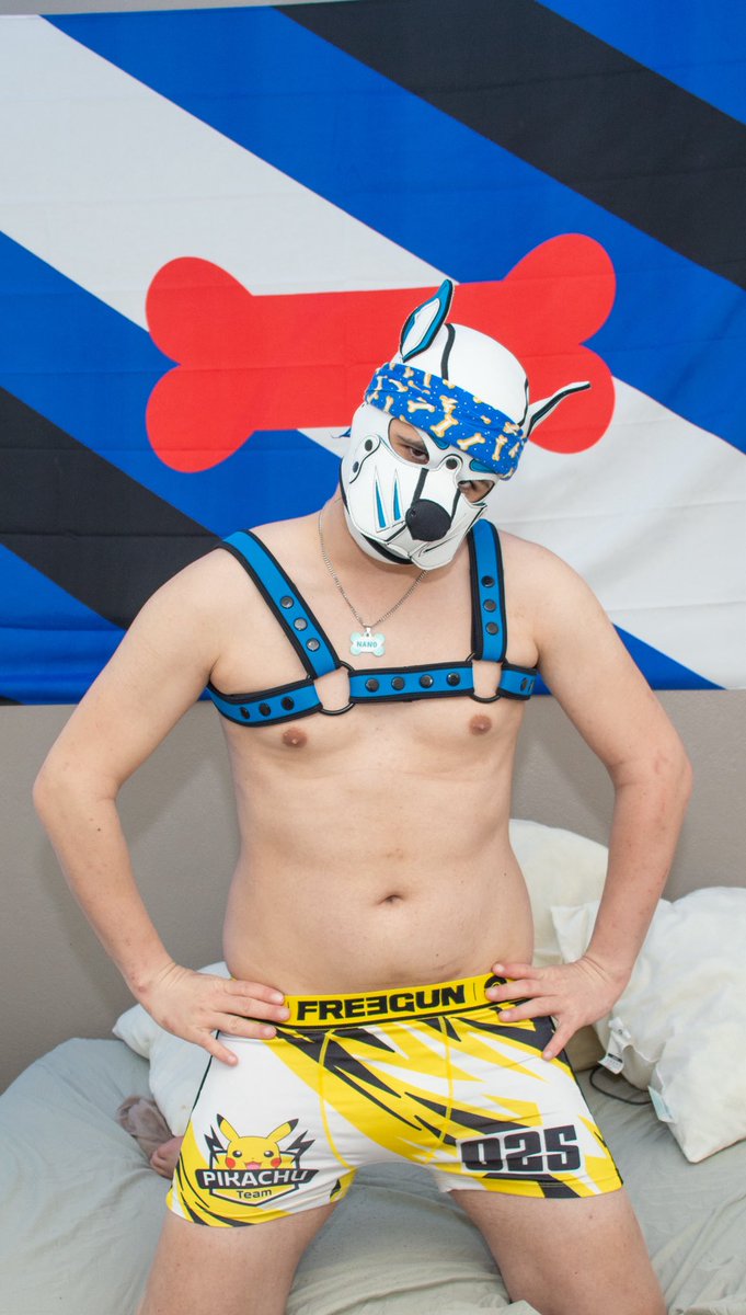 PuppyNano's tweet photo. Freegun Day 🐾

#k9hood #puppyplay #gaypup #freegun #freegunlover #underwearlover #humanpup #puppyplaycommunity #humanpupcommunity #kiffeur #frenchkiffeur #frenchpuppy #puplay https://t.co/37iYlJbhHW