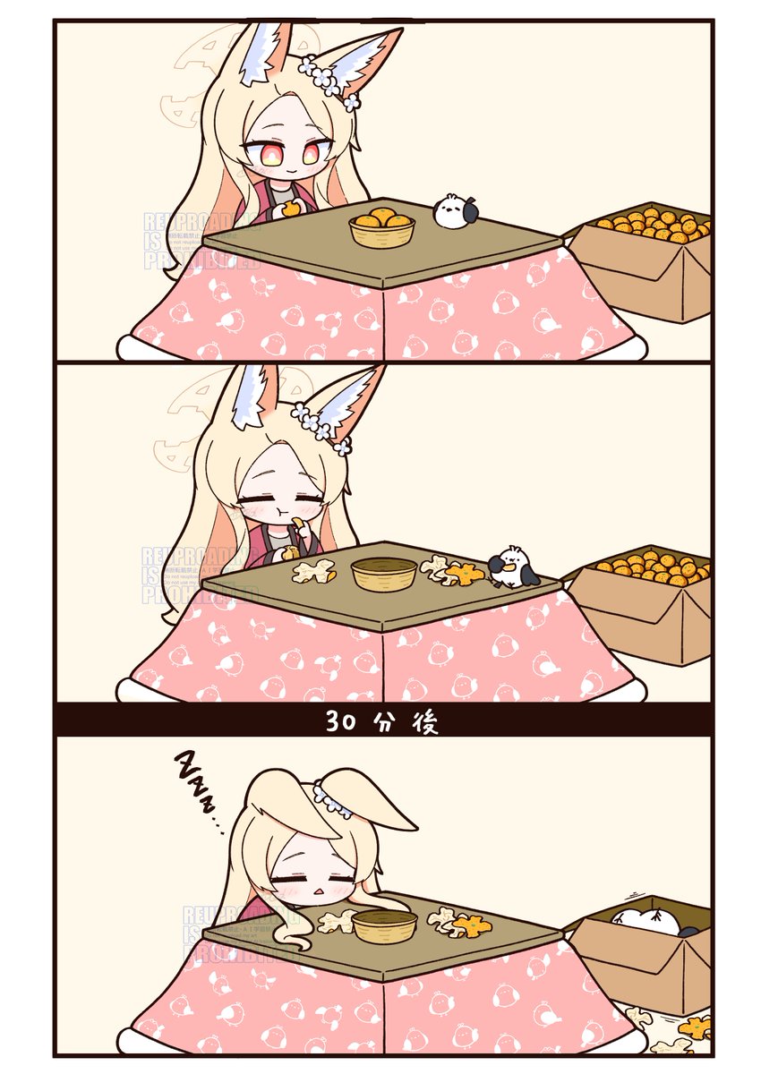 こたつ 