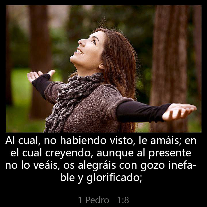 All Grace Abound tweet media