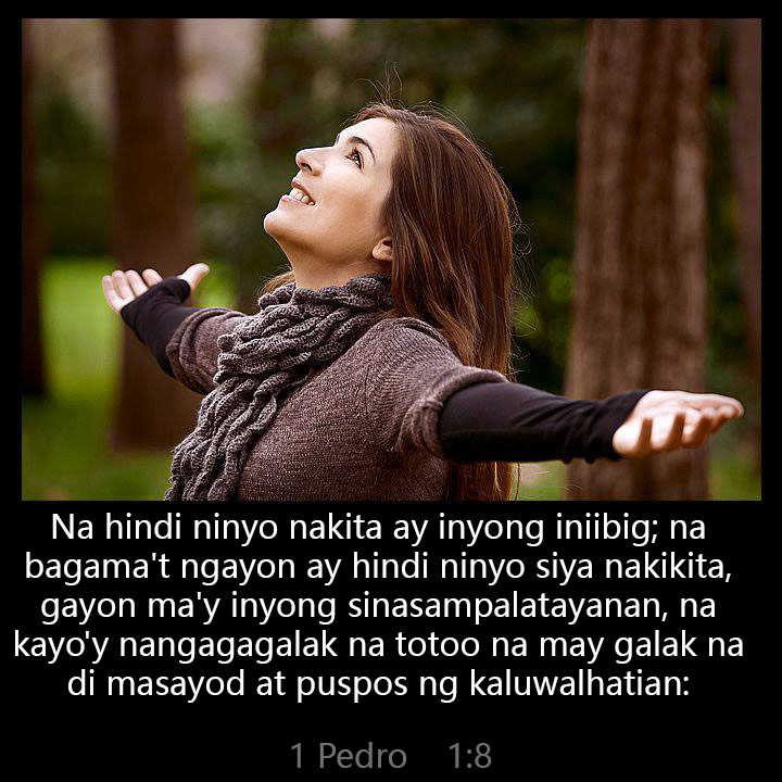 All Grace Abound tweet media