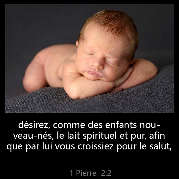 All Grace Abound tweet media