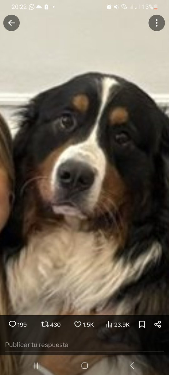 Laju Ana✨ (@tr4n5f0rm3r) on Twitter photo 