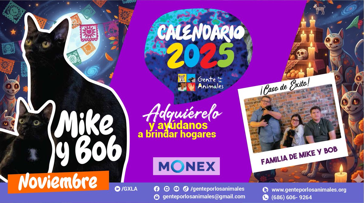 #CalendarioGXLA En noviembre presentamos a #Bob y #Mike, hijos de una gatita - Kiriberta -rescatada embarazada de la calle. Conoce su historia gracias a Monex #Mexicali ¡Adquiere tu calendario y colabora con los #adoptables de #genteporlosanimales!