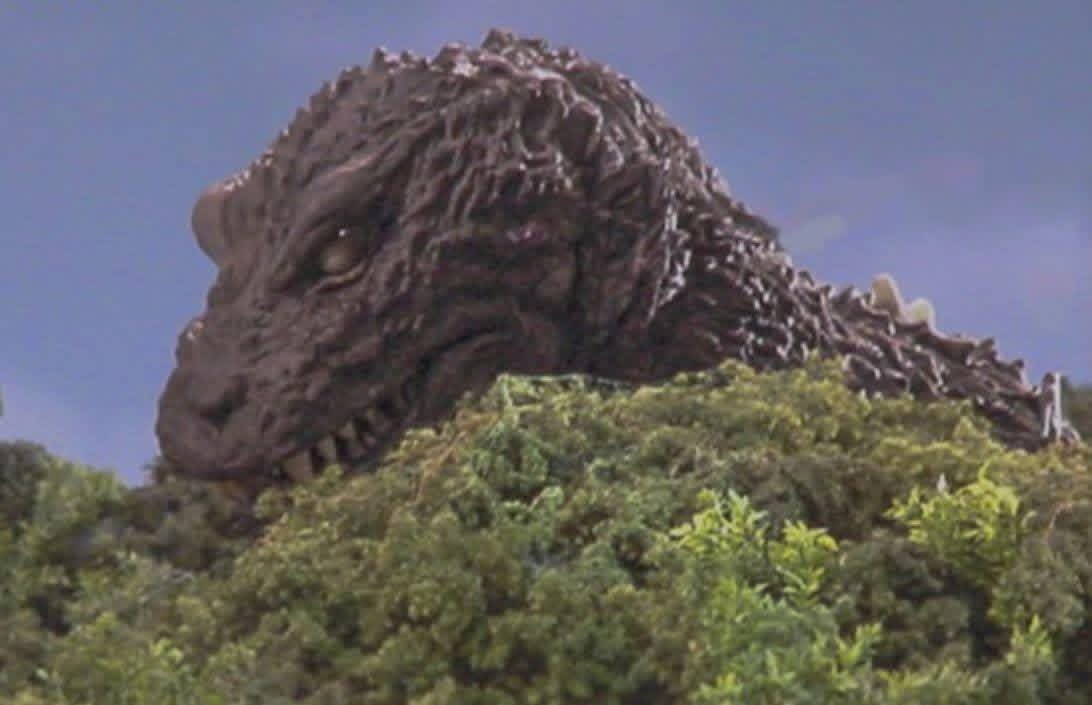 Mr. Goji  tweet media