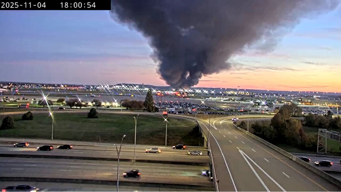 David Williams tweet media