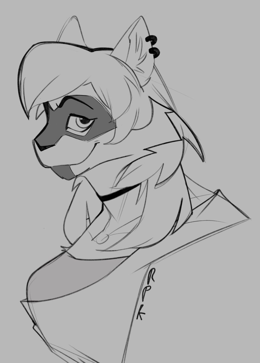 RealPakk_'s tweet image. The cat with the most stereotypical german name, Erika 

#furry