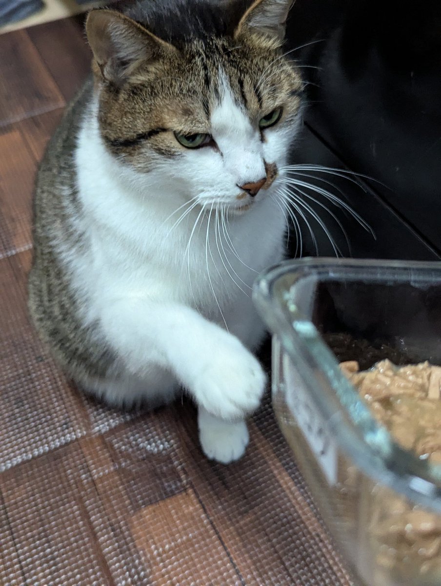 えびみ (@ciko8988) / Posts / X