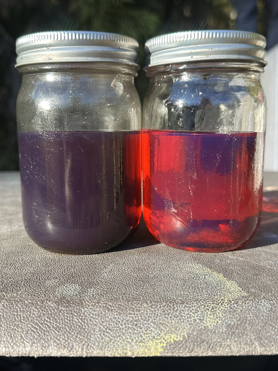 aporby's tweet photo. Recommend getting tour tanks cleaned and gas polished if you haven’t done so! Probably the first time our 25 year old tanks have been cleaned. https://t.co/kpRLaIQCPu