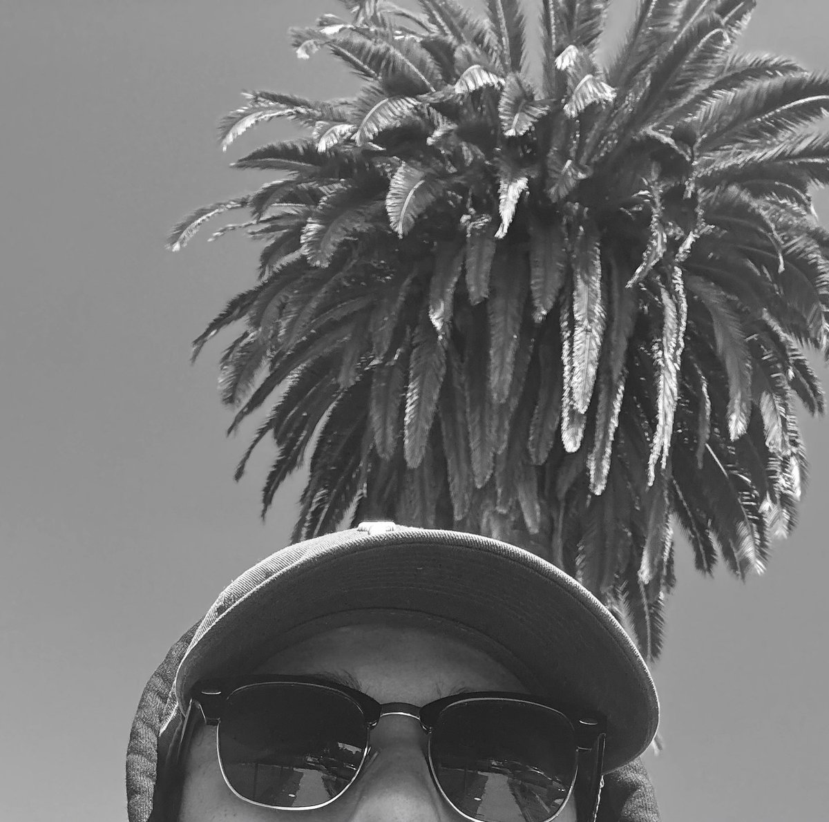 𝕴𝖓𝖉𝖎𝖊 tweet media