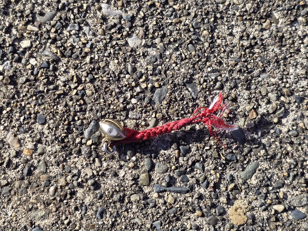 釣り人 ひとりの釣り人 on X