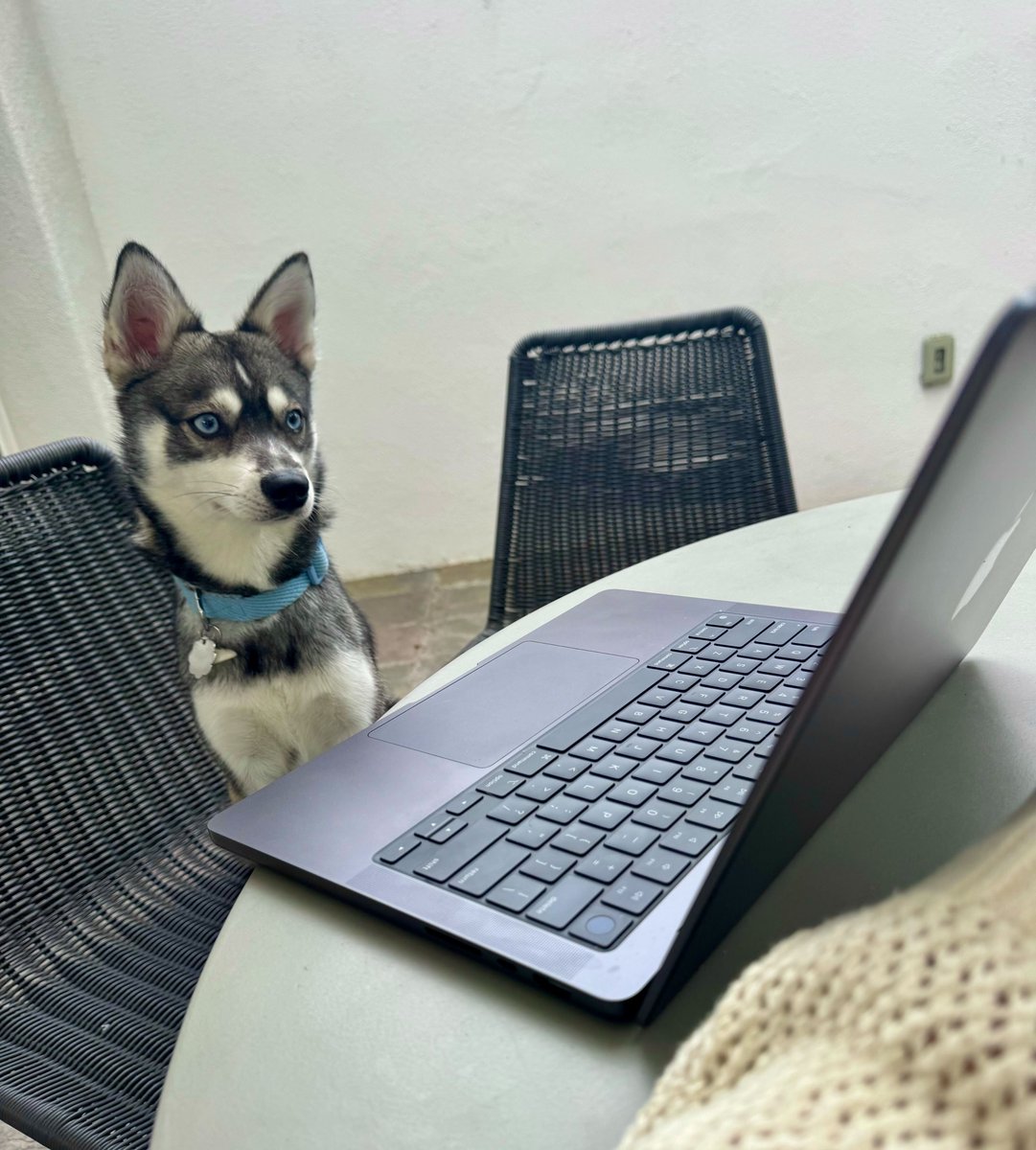 straikerai's tweet image. This is why we ask our interviewers to turn their cameras on. We take threat detection very seriously.