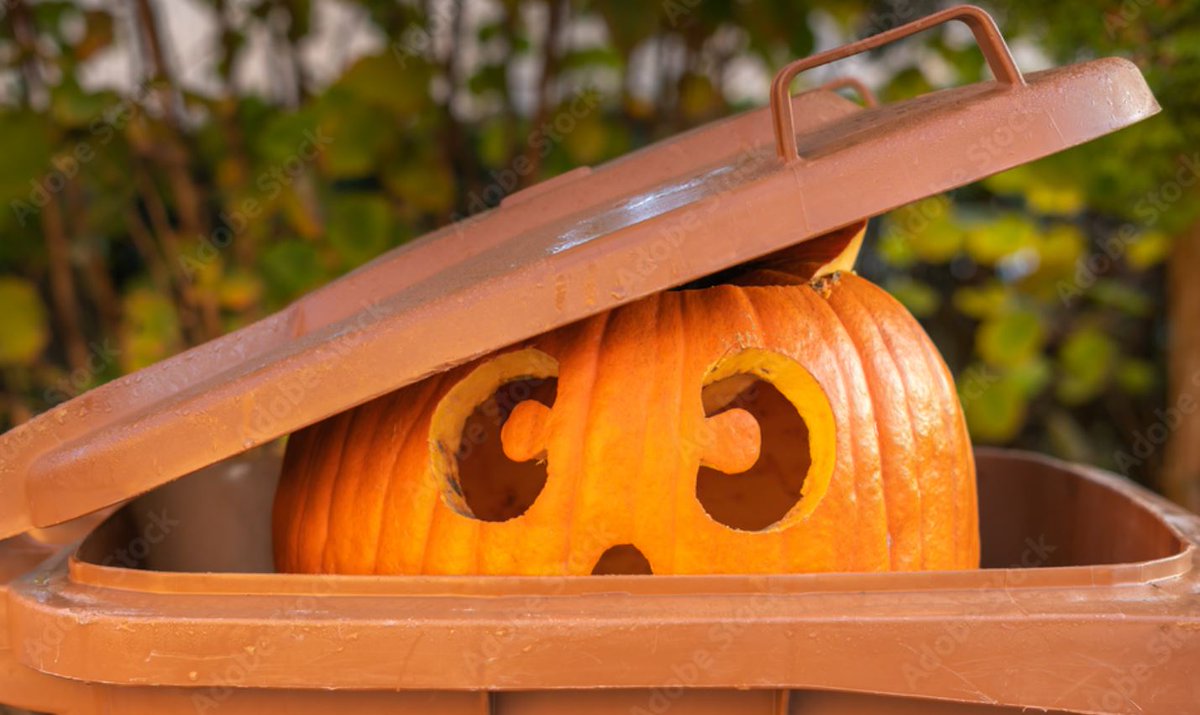 🎃 Help keep waste less scary by composting your pumpkins! Put them in your curbside compost if they're unpainted &amp; free of other synthetic materials like glitter, wax &amp; stickers. We love that these get to live a second life as compost for gardens &amp; yards in the spring! 🌷