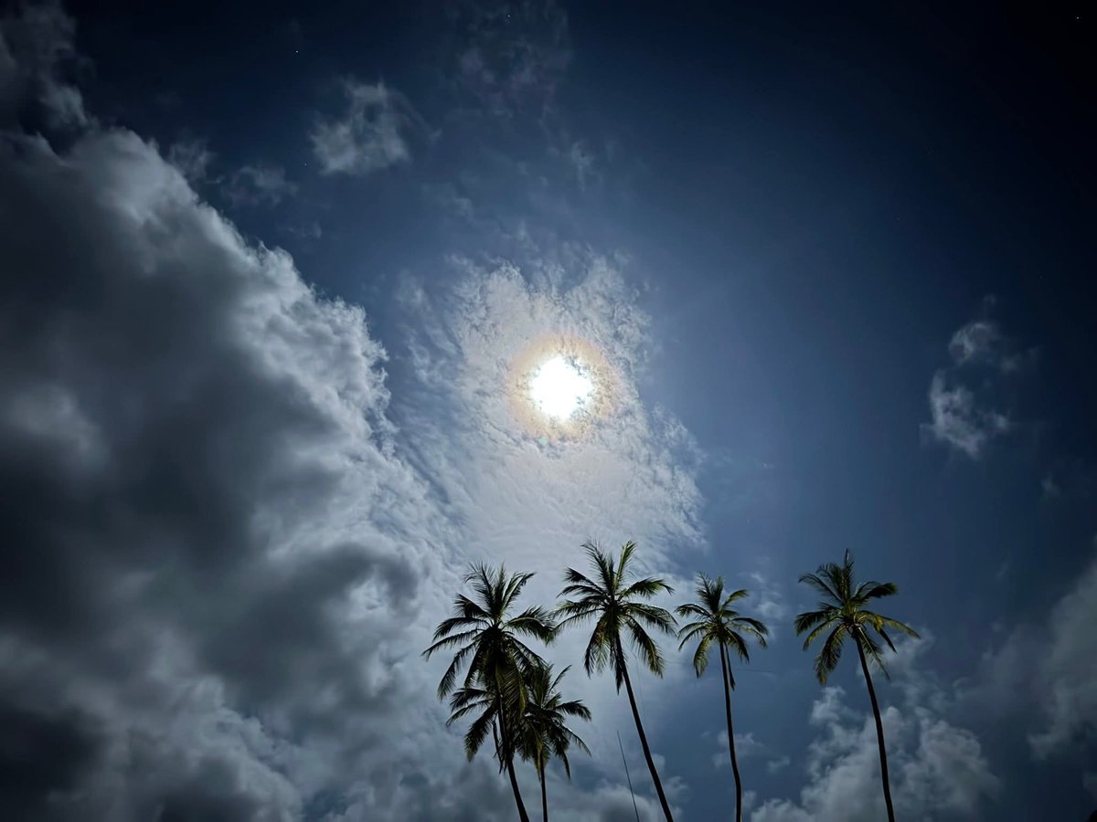 W6MOQ's tweet photo. π¬π² #9L8MD #SierraLeone by DL8JJ
π‘ π EME: #Earth #Moon Earth βΌ
{source: Emil Bergmann} #MDXC
π #hamradio #satellite @grok π° https://t.co/FOYEgzv8Hc