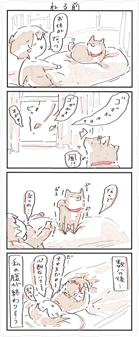 #4コマ漫画 #柴犬がいる暮らし 
ねる前 