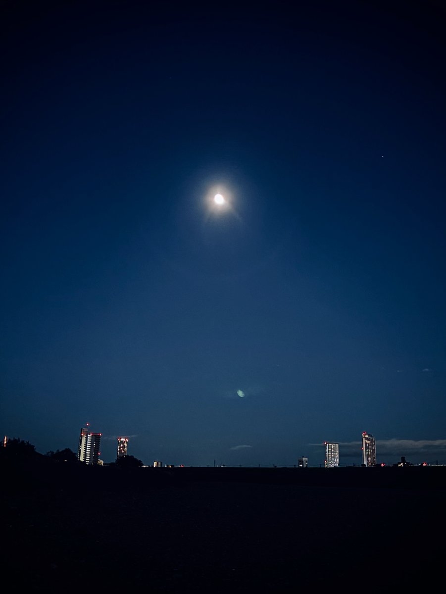 おはカーゴ！🐿💨
本日はスーパームーンですが、岐阜市は空気を読まずどんよりとした曇り空が広がっています☁️今夜はちょっと拝めそうになさそうです...😶‍🌫️
なので先日中の人(バーグ)が散歩がてら撮影したお月様を共有しておきますね🎑

すいようびも元気に参りましょう！💪