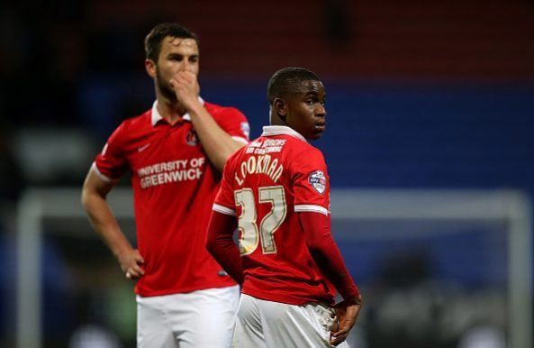 cafcowen's tweet image. Something about sparrows lab 37’s…#cafc