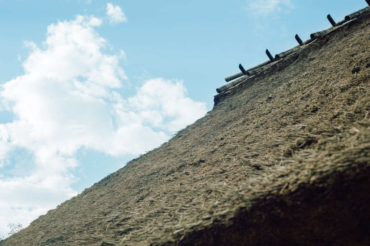 神戸市広報 on X