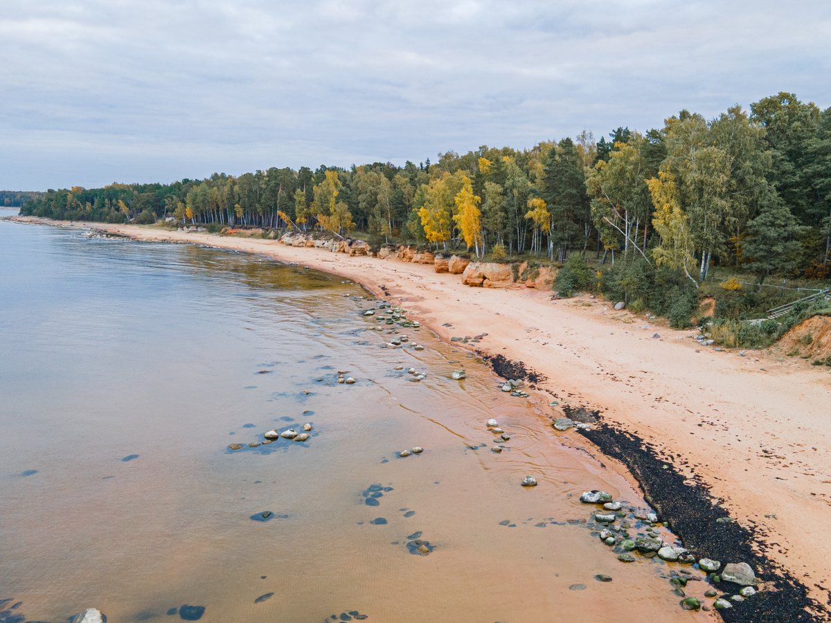 ProjektsReef's tweet image. Ceturtā konsultatīvās grupas sanāksme dabas aizsardzības plāna izstrādei aizsargājamām jūras teritorijām
Sanāksmes darba kārtība
10.00 –  Sanāksmes atklāšana, ievads. 
Pievienošanās saite:
reef.daba.gov.lv/public/lat/jau…
Foto: Jānis Ukass