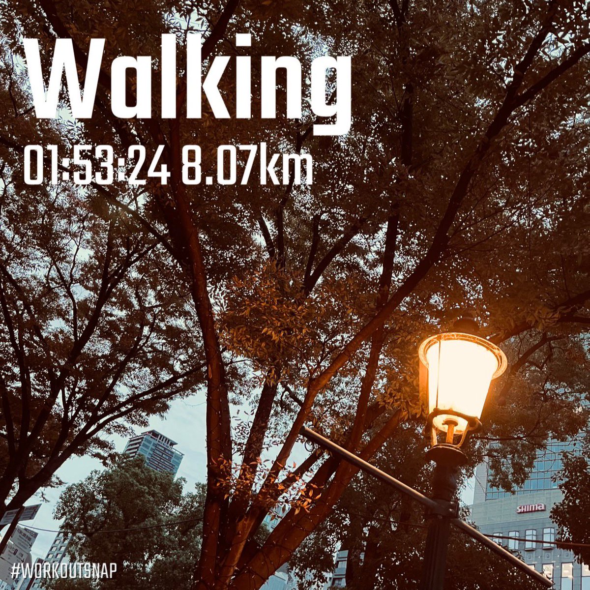 朝ウォーキング🚶☀️

街灯に照らされる
ぼくはいつも細い影
手を伸ばすと放たれる
眼差しと期待
ふわりとしたそれを
抱えながら歩く

#ウォーキング
#朝活
