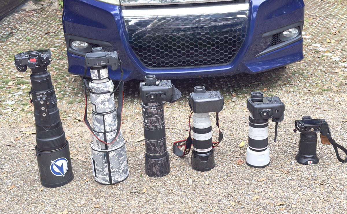 チェックメイト 韓国 BL 証明写真 チェックメイト 韓国 BL 証明写真