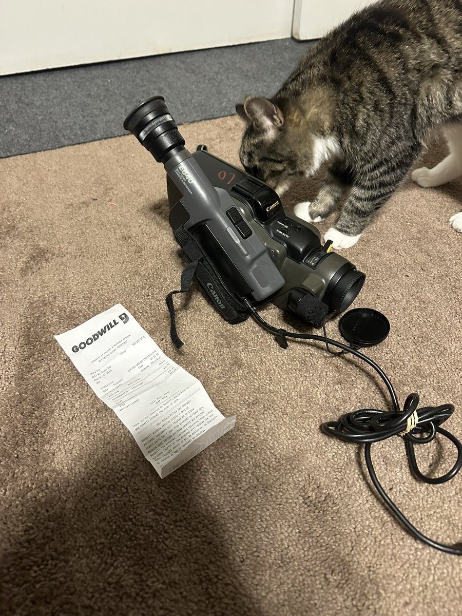 Mikelukex's tweet photo. W goodwill pull (ignore fat monkey cat) https://t.co/om8hnFb5l8