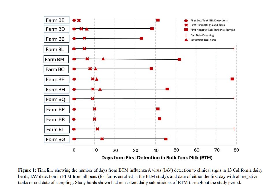🧫 New preprint: H5N1 avian influenza virus detected in bulk tank milk from U.S. dairy herds. 🐄
Findings suggest milk testing is a key early indicator of herd infection.
🔗 doi.org/10.1101/2025.1…